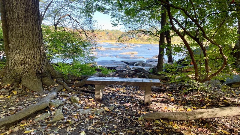 Bench at Pony Pasture Rapids Park