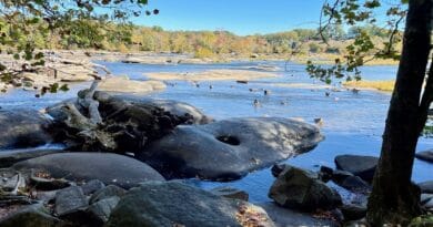 Pony Pasture Trails | Easy Hikes in Richmond, Virginia