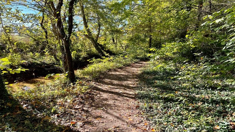 Hiking Trail at Pony Pasture Rapids Park