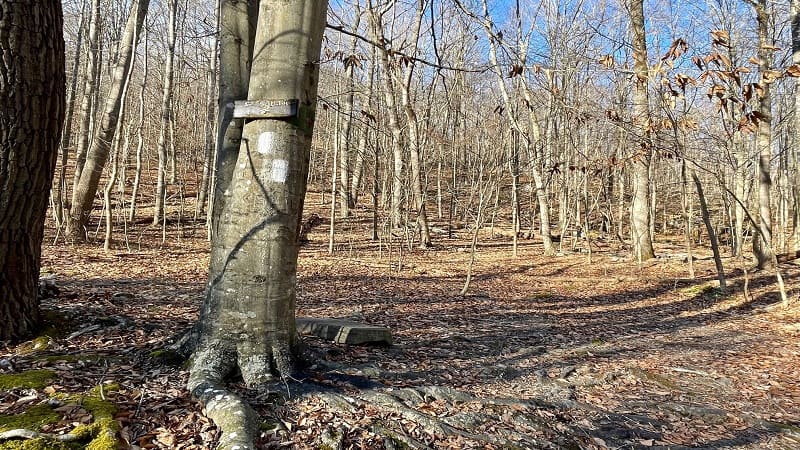 AT South Sign on Appalachian Trail