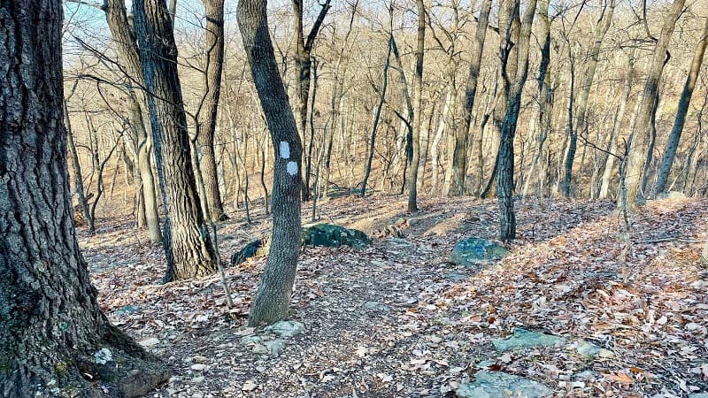 Switchbacks on the Appalachian Trail