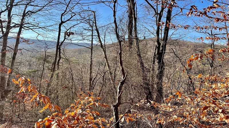 Views Through Leafless Trees on the Appalachian Trail