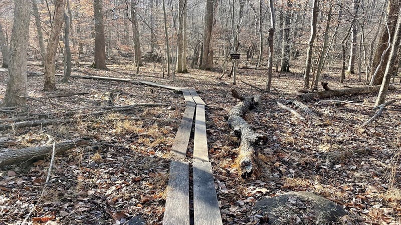 Wooden Slats on the Appalachian Trail