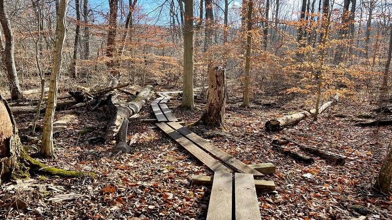 Wooden Path on Appalachian Trail