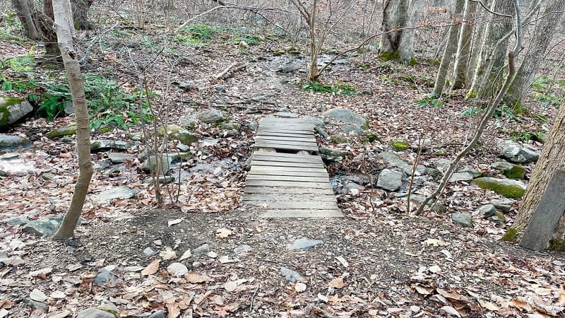 Wooden Footbridge on Appalachian Trail