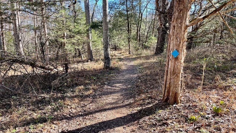 Blue Blazed Hiking Trail at Walnut Creek Park
