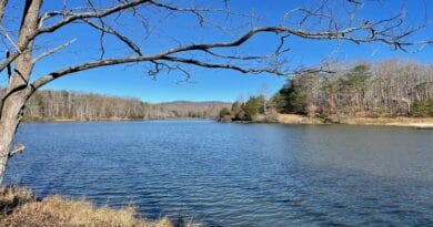 Walnut Creek Lake at Walnut Creek Park Near Charlottesville, Virginia