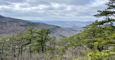 Poor Mountain Natural Area Preserve Hike in Roanoke County, Virginia