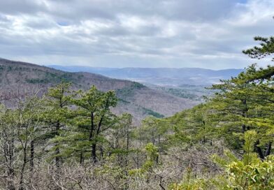 Poor Mountain Natural Area Preserve Hike in Roanoke County, Virginia