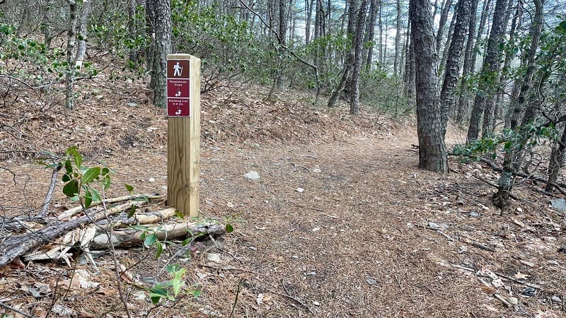 Piratebush Trail Sign