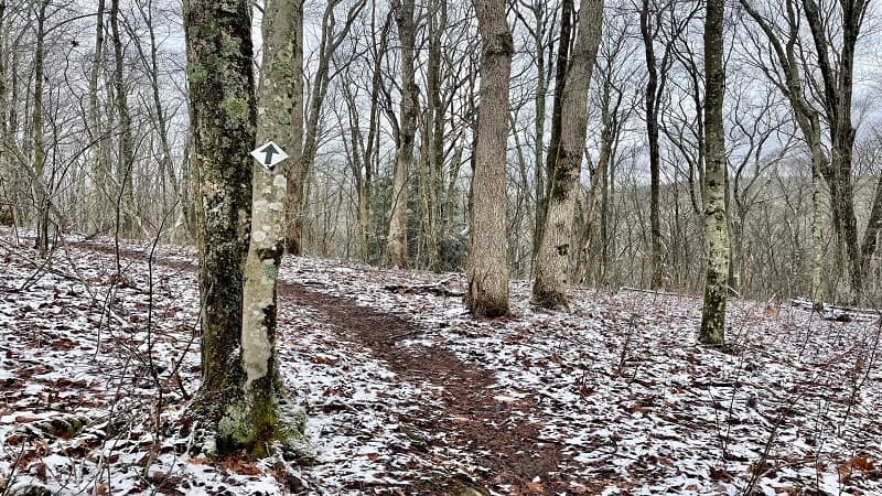 Trail Arrows on Brumley Mountain Trail