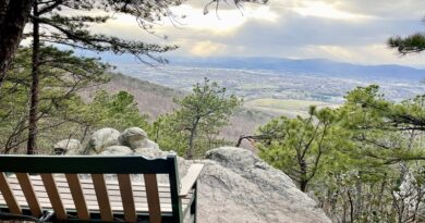 Read Mountain Preserve | Roanoke County | Buzzards Rock View
