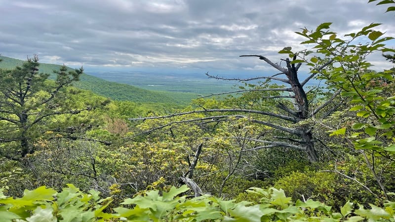 Cloudy Views on the Way to Furnace Mountain