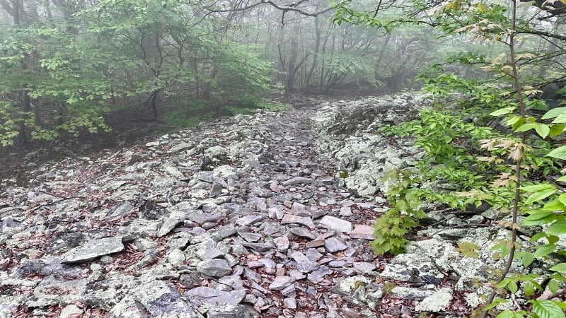 Talus Slope on Trayfoot Mountain Trail