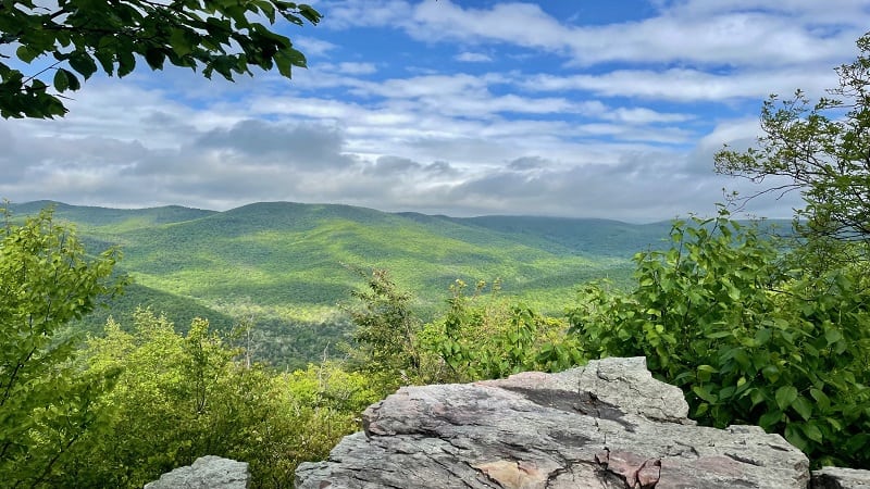 Views from Furnace Mountain Summit