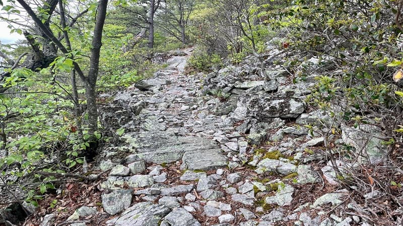 Rocky Trail on the Way to Furnace Mountain Summit