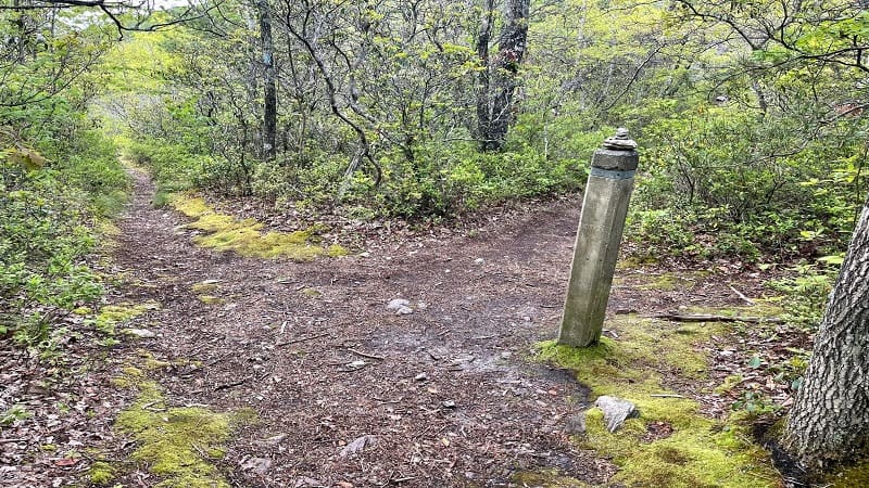 Trayfoot Mountain Summit Trail Marker