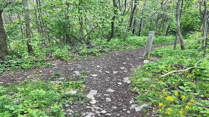 Trayfoot Mountain Trail Junction