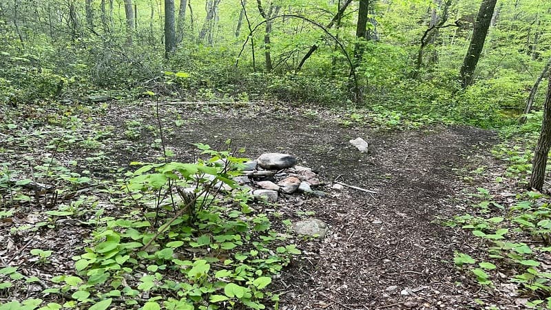 Camp Site Near St Mary's Falls