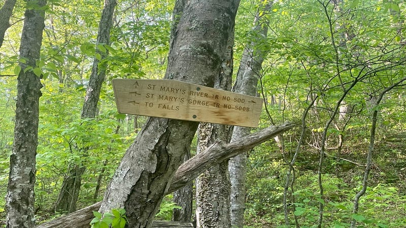 Trail Sign at St. Mary's Wilderness