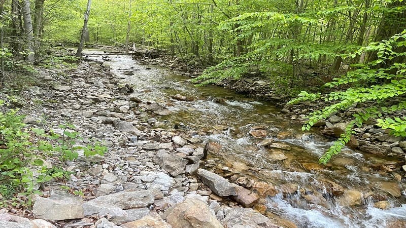 St. Mary's River Views