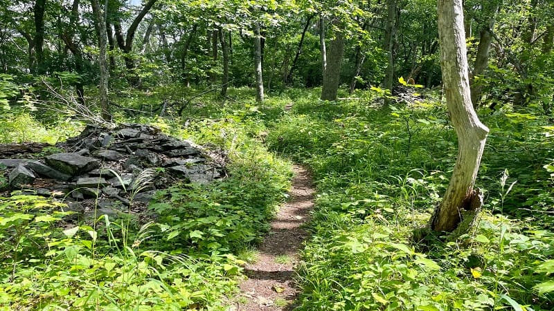 Rock cairns along the Appalachian Trail in Virginia