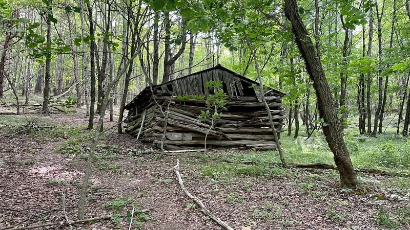 Ramshackle Cabin next to Appalachian Trail in Virginia