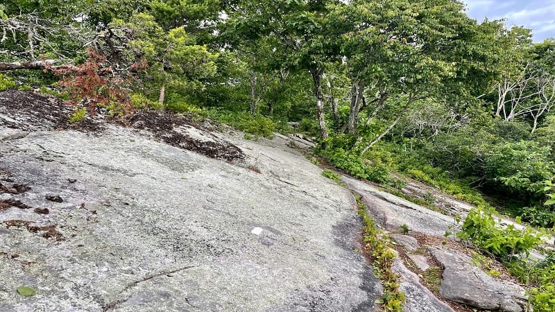 Rock ledges along the Appalachian Trail