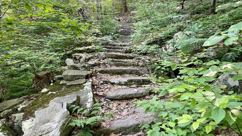 Rock steps on the Appalachian Trail in Virginia