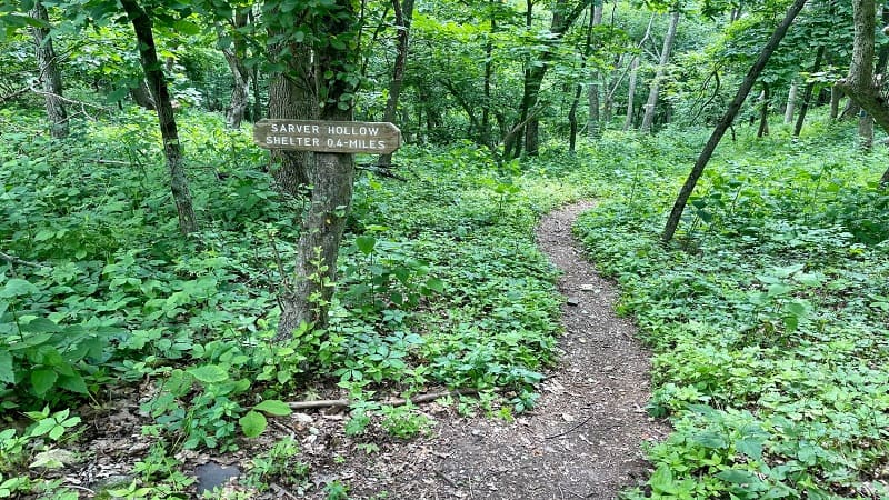 A sign for Sarver Hollow Shelter in Virginia