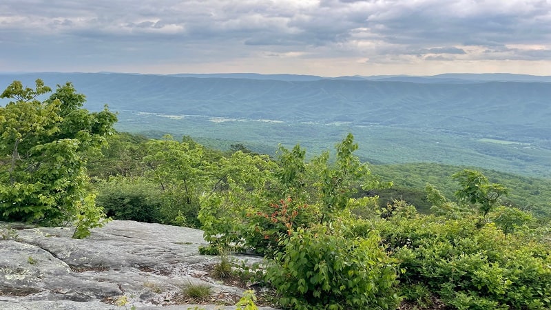 Appalachian Trail: Sinking Creek to Lee Hollow (+ Keffer Oak)