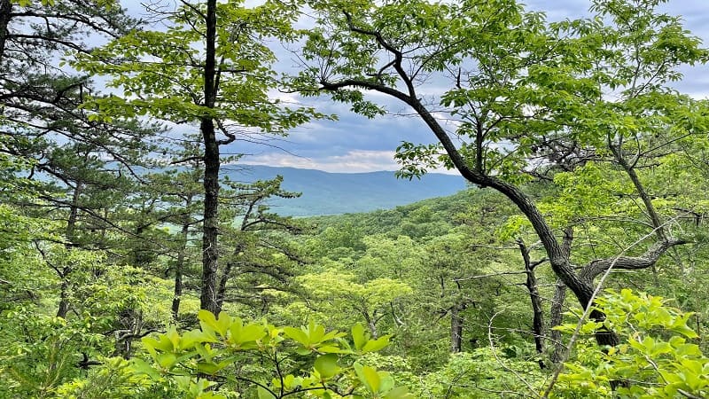 Sinking Creek Mountain Views on the Appalachian Trail