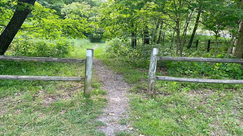 White Blazes Mark the Appalachian Trail at Sinking Creek in Virginia