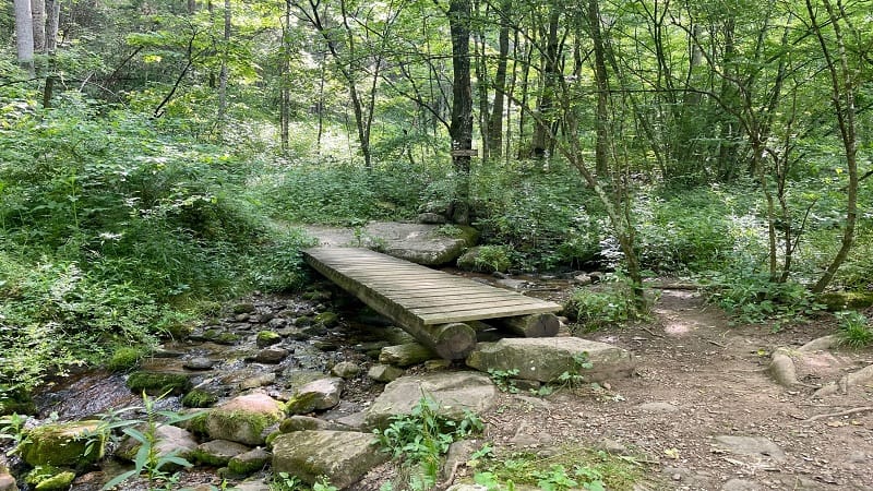 Footbridge over Sinking Creek in Virginia