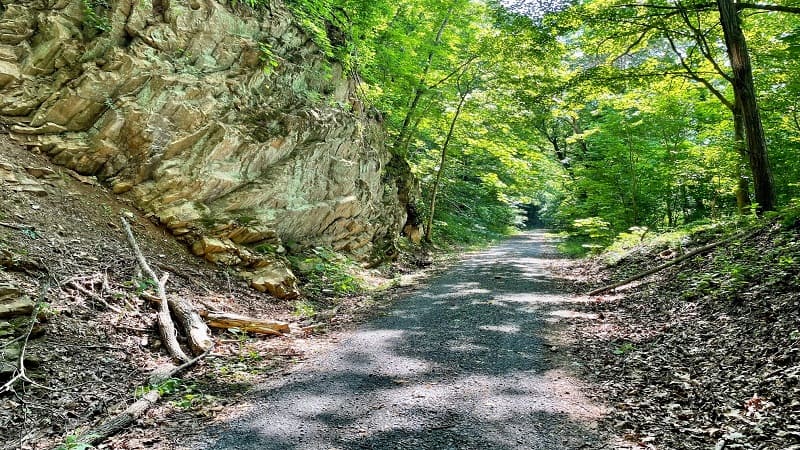 Cliffs Along New River Trail in Virginia