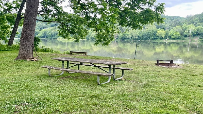 Picnic Area at New River Trail State Park in Virginia