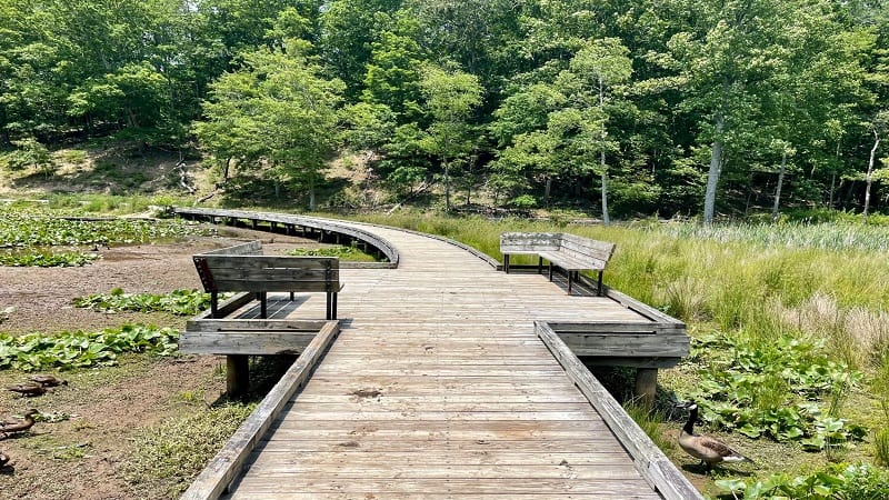 Boardwalk at Pandapas Pond in Blacksburg, VIrginia