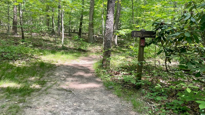 Poverty Creek Connector Trail at Pandapas Pond