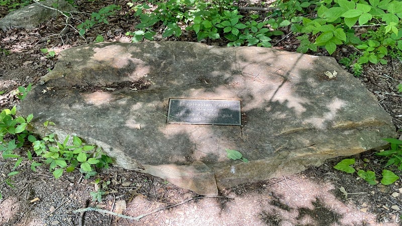 Inspiration Point Rock at Pandapas Pond in Virginia