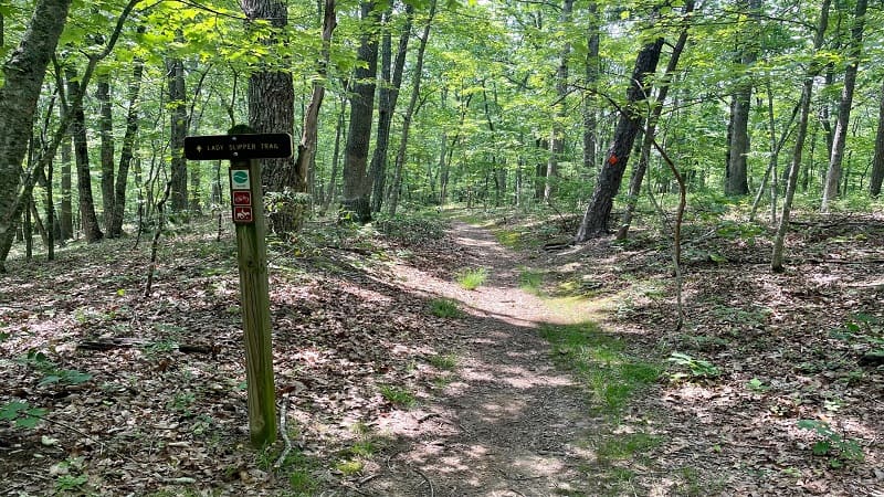 Lady Slipper Trail at Pandapas Pond Day Use Area in Blacksburg, Virginia