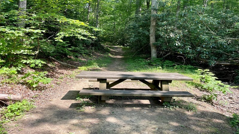 Picnic Table at Pandapas Pond Day Use Area