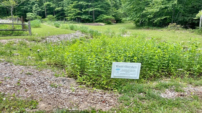 Rain Garden at Pandapas Pond Day Use Area in Virginia