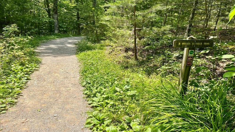 Woods & Field Trail at Pandapas Pond Day Use Area in Virginia