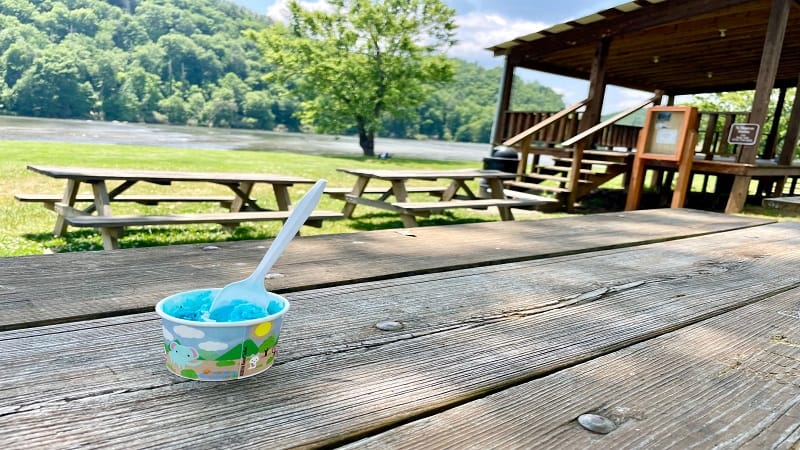 Ice Cream from Frosty Monkey in Fries, Virginia