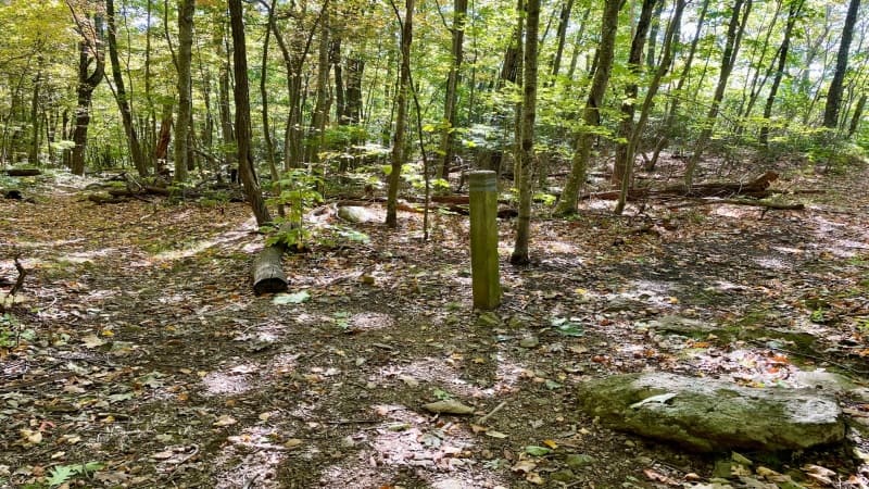 Trail Junction at Big Devils Stairs Trail