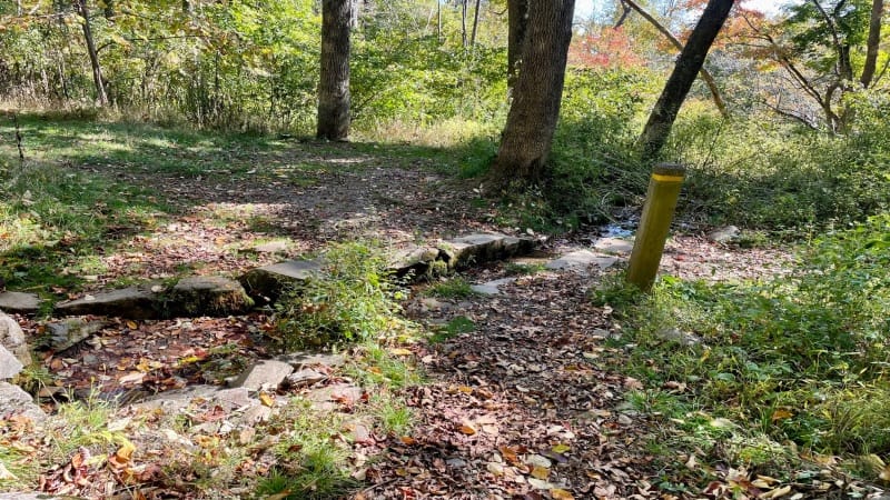 Spring Near Gravel Springs Hut