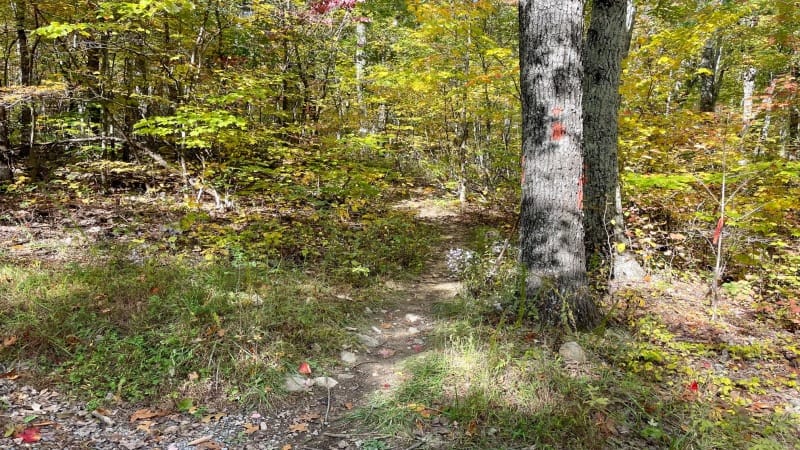 Trailhead for Massanutten Trail to Copernicus Ridge