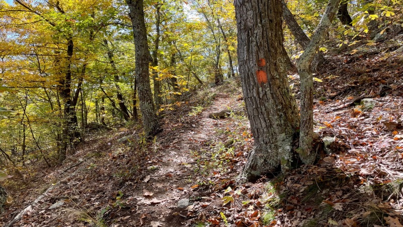 Orange Blazes of Massanutten Trail