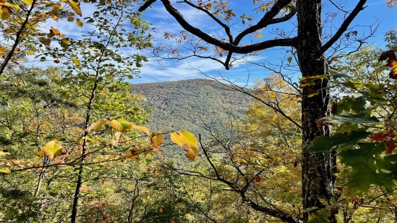 Ridgeline Views