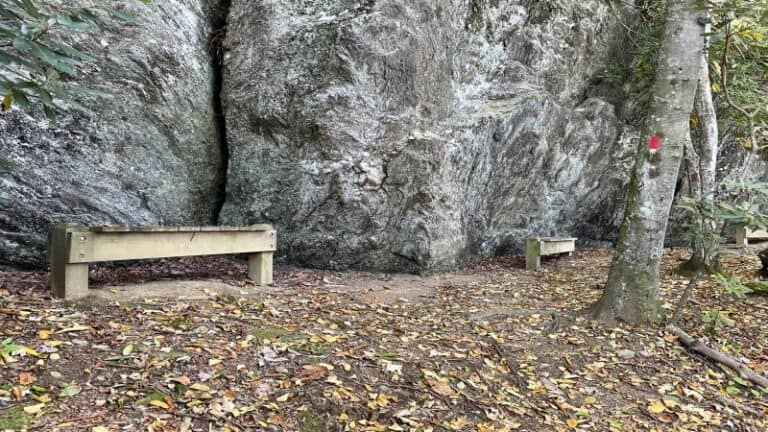 Fisher Peak Loop Trail: A Blue Ridge Parkway Hike in Galax
